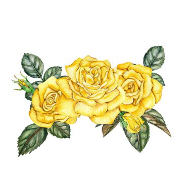 Suluboya güller çiçek kompozisyonu. Çiçek açan bir bahçenin el çizimi. Bebek partisi için tasarım, doğum günü, pasta, bayram kutlama tasarımı, posterler, tebrik kartı, davetiye.