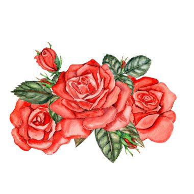 Suluboya güller çiçek kompozisyonu. Çiçek açan bir bahçenin el çizimi. Bebek partisi için tasarım, doğum günü, pasta, bayram kutlama tasarımı, posterler, tebrik kartı, davetiye.