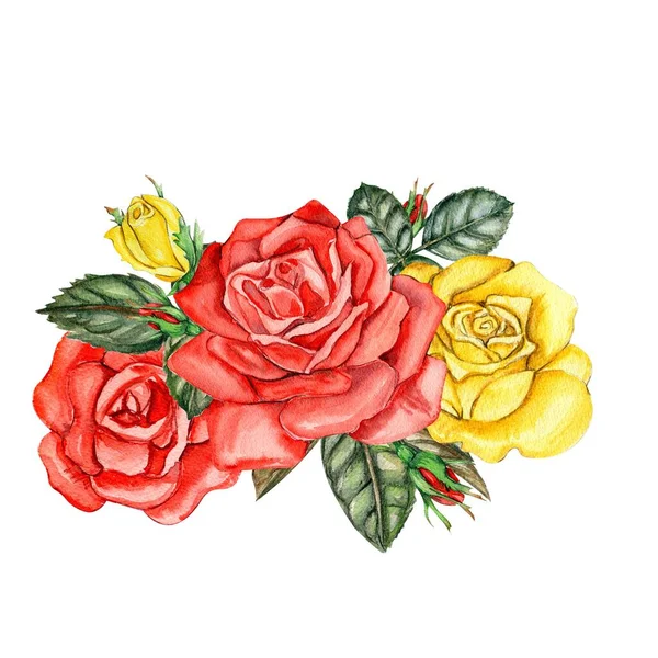 Akvarel Růže Složení Květin Ručně Kreslené Ilustrace Kvetoucí Květinové Zahrady — Stock fotografie