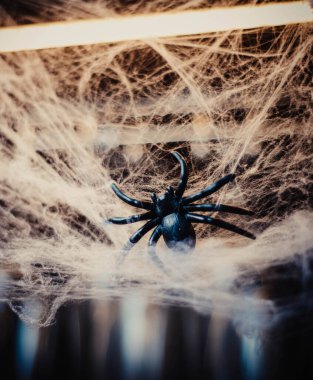Cadılar Bayramı için dekorasyon tarantula örümceği