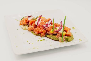 Gourmet plate of salmon and red onion ceviche