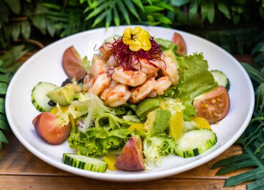 Gourmet shrimp salad and different green sprouts