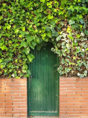 Sarmaşıktaki yeşil kapı, peri kuyruğundan kapı.