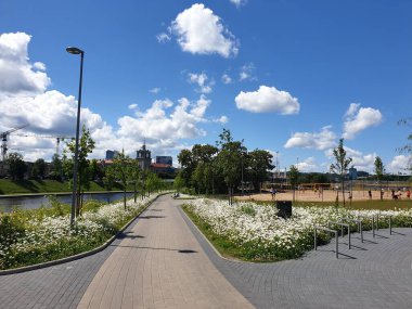Vilnius 'ta yaz mevsimi çiçekli papatya çiçeğiyle, Neris Nehri