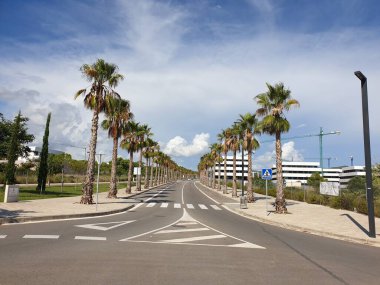 Yol kenarında bir sıra palmiye ağacı, yeni inşa edilmiş bir bölge, Sitges, İspanya