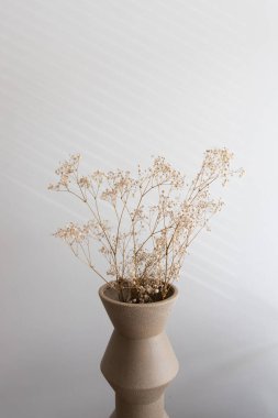 Bej vazoda kurutulmuş bej çiçekler