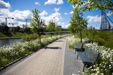 Vilnius 'ta yaz mevsimi çiçekli papatya çiçeğiyle, Neris Nehri