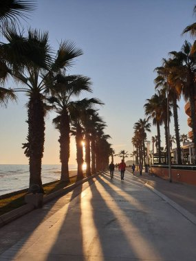 Gün batımında palmiye ağaçlarının gölgeleriyle deniz gezintisi, Sitges, İspanya