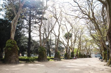 İlkbaharın başlarında Porto 'da Cordoaria Bahçesi, Porto' nun merkezinde Jardim da Cordoaria
