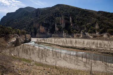 İspanya 'da kuraklık, Congost de Mont Rebei nehri kuru kumlu, kurak ağaçlı alçak nehir, küresel ısınma
