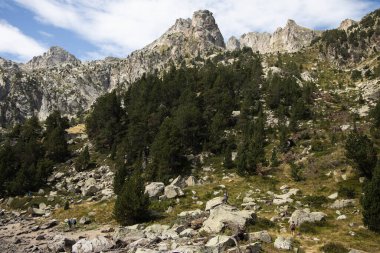 Aigestortes y Estany de Sant Maurici, Pyrenees vadisinde nehir ve gölü olan doğal parkın güzel manzarası.