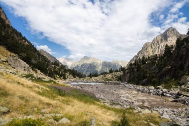 Aigestortes y Estany de Sant Maurici, Pyrenees vadisinde nehir ve gölü olan doğal parkın güzel manzarası.