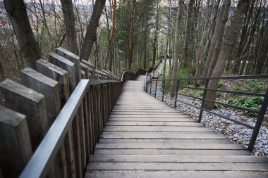 Ormanda kahverengi ahşap merdivenler, aşağıdaki merdivenler.