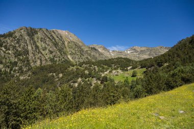Yazın yeşil dağların manzarası. Sarı çiçekler ve ev, Arinsal, pirineler.