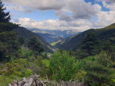Yazın yeşil dağların manzarası sarı çiçekler ve ev, Arinsal, pirineler, Andorra