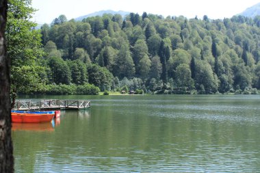 Doğal orman gölü manzarası fotoğrafı.