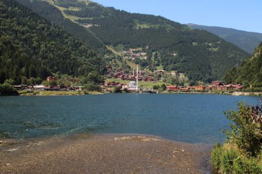 Doğal orman gölü manzarası fotoğrafı.