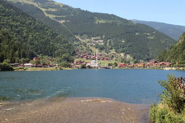 Doğal orman gölü manzarası fotoğrafı.