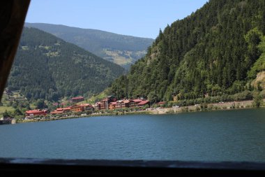 Doğal orman gölü manzarası fotoğrafı.