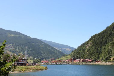 Doğal orman gölü manzarası fotoğrafı.
