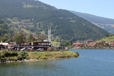 Doğal orman gölü manzarası fotoğrafı.
