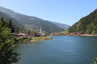 Doğal orman gölü manzarası fotoğrafı.