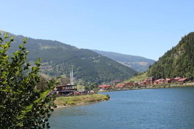Doğal orman gölü manzarası fotoğrafı.
