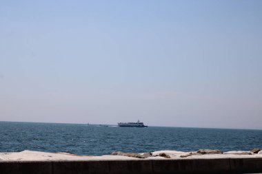 Daha büyük titreyen ot bitkisi makro fotoğrafı