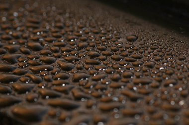 Kuru yaprak suyu makro fotoğraf düşürür