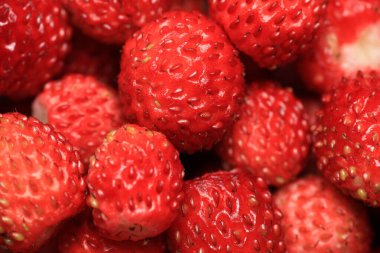 Vahşi bahçe çilekli makro fotoğraf