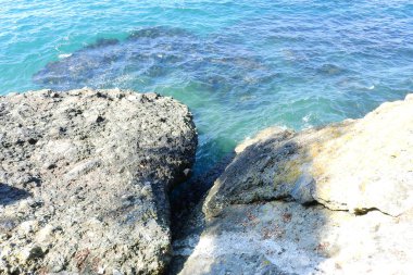 Doğal deniz ve orman manzarası