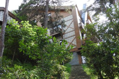 Doğal deniz ve orman manzarası