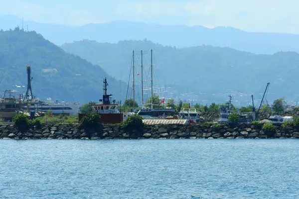 Doğal deniz ve orman manzarası