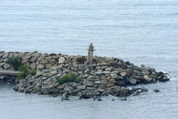 Doğal deniz ve orman manzarası