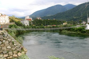 Daha büyük titreyen ot bitkisi makro fotoğrafı