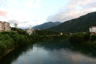 Daha büyük titreyen ot bitkisi makro fotoğrafı