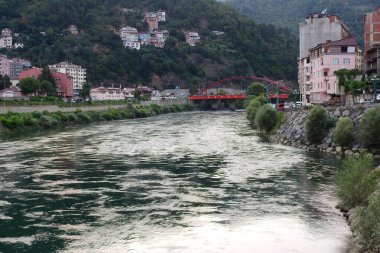 Daha büyük titreyen ot bitkisi makro fotoğrafı