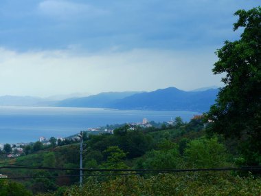 Daha büyük titreyen ot bitkisi makro fotoğrafı