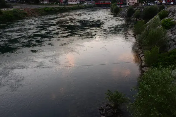 Daha büyük titreyen ot bitkisi makro fotoğrafı