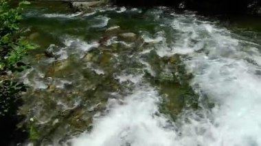 Yeşillikten akan doğal nehir suyu