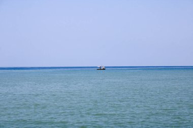 Yeşil ağaçlar orman manzarası fotoğrafı