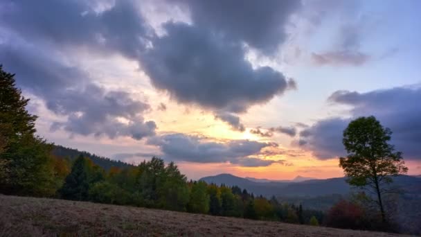 Bosque Caducifolio Otoño Prado Primer Plano Nubes Dramáticas Atardecer Imágenes — Vídeo de stock