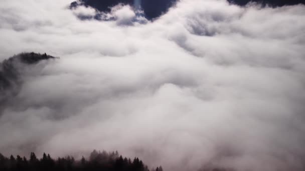 空中无人飞机俯瞰着森林中的雾和云朵倒转 高质量的4K镜头 — 图库视频影像