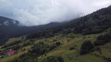 Kuş bakışı hava manzaralı puslu dağ odunu. Bereketli bulutlar vahşi sisli ormanı, Karpatya dağlarını kaplar. Bulutlu tepelerde hava manzarası. Bulutların üstündeki ağaçlar uçar ormanlar ağaçlar uçar yeşil orman vadisi 