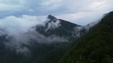 Kuş bakışı hava manzaralı puslu dağ odunu. Bereketli bulutlar vahşi sisli ormanı, Karpatya dağlarını kaplar. Bulutlu tepelerde hava manzarası. Bulutların üstündeki ağaçlar uçar ormanlar ağaçlar uçar yeşil orman vadisi 
