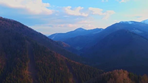 Forest Hilly Landscape Carpathians Illuminated Trees Light Setting Sun Spring — Stock Video