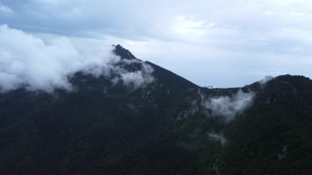 Nebeliges Bergholz Aus Der Vogelperspektive Üppige Wolken Bedecken Wilde Nebelwälder — Stockvideo