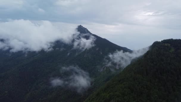 Ködös Hegyi Madártávlatból Buja Felhők Borítják Vad Ködös Erdőt Kárpátok — Stock videók