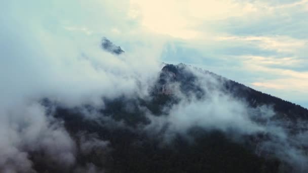 Похмуре Гірське Дерево Пташиного Польоту Пишні Хмари Покривають Дикий Туманний — стокове відео