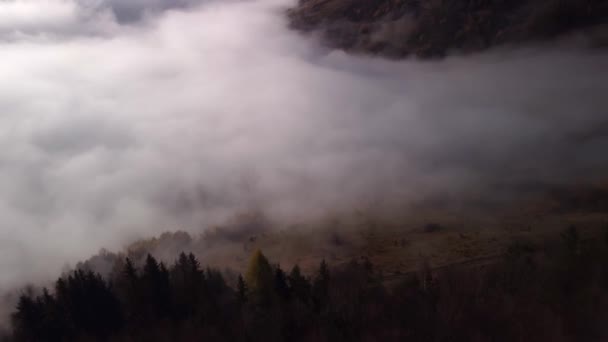 空中无人飞机俯瞰着森林中的雾和云朵倒转 高质量的4K镜头 — 图库视频影像